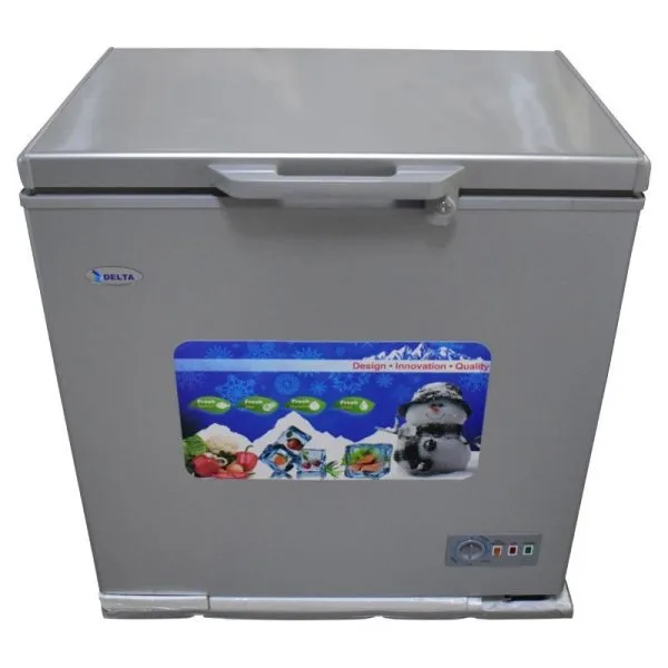 DELTA 250L - Congelateur DCF250SLV - 12 Mois Garantie